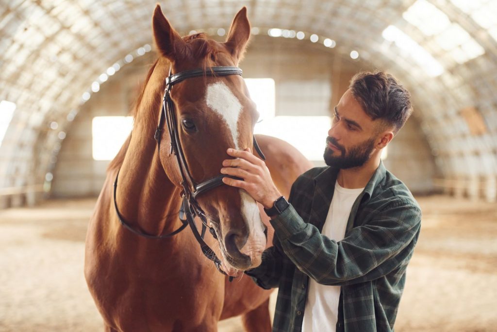 How horses help humans heal and thrive