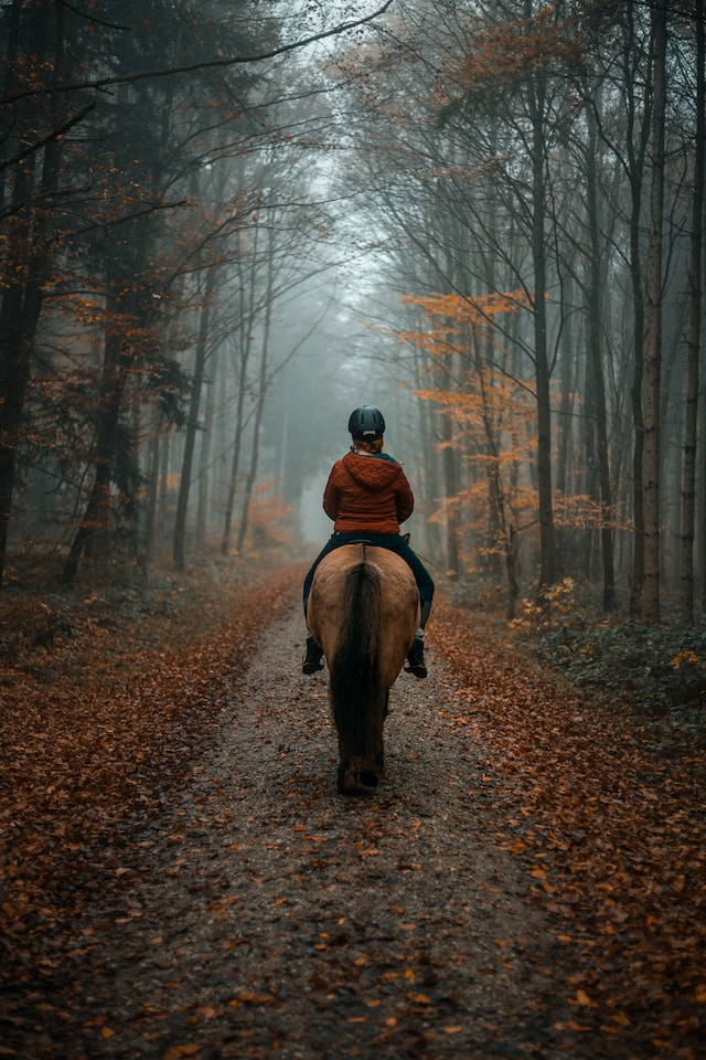 Harnessing the Power of Reverse Mortgages to Saddle Up for Horse Therapy: A Compelling Exploration